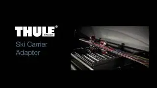 Roof box   Thule Motion http://motorsport-shop.ru