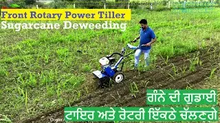 Front Rotary Power Tiller (BCS Gratia 303) full working video of Deweeding Sugarcane (ਗੰਨੇ ਦੀ ਗੁਡਾਈ)