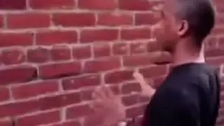 Снюсоеды Би Лайк: