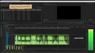 New feature of premiere pro 24.4