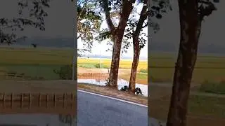 Nature Is Always Beautiful 