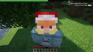 Страдать от хаоса (Minecraft)