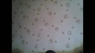 strim obshenie utro 23 apr 2024