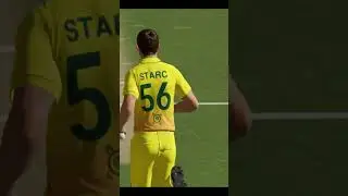 🔥What a way to get a wicket! #Cricket #Starc #viral