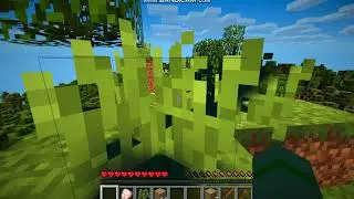 Майнкрафт выживание 1