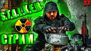 СТАЛКЕР ЧИСТОЕ НЕБО Стрим первое прохождение | стримы игры stalker
