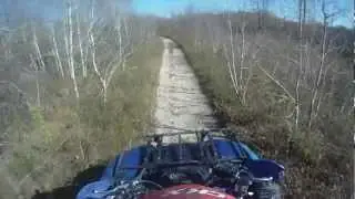 Quading Fun in Bush (HD)