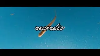 Blure. - Recordis