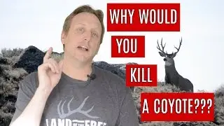 How to Control Coyote Population | Why I Don't Feel Bad About Killing Coyotes
