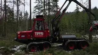 Gallring i mosse med Terri kombi