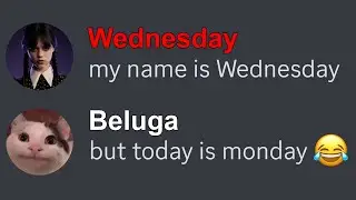 When Beluga meets Wednesday...