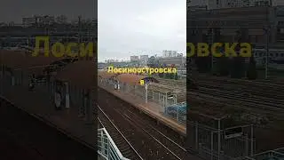 11 сентября 2024 г.
