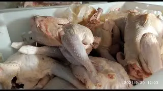 Камера воздушно-капельной дефростации (дефростер ДВК-4) для разморозки птицы (курицы), мяса, рыбы.