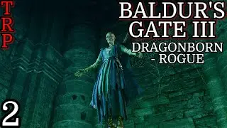 Baldur's Gate 3: Walkthrough PT2 Dank Crypt - Revive - Respect Full Release