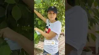 Где наушники? Мама в шоке😂