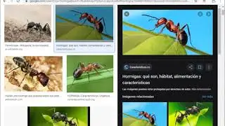 3 - Insertar imágenes y videos
