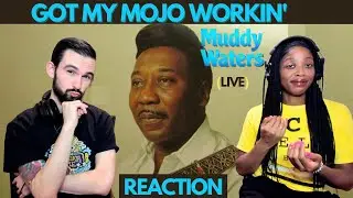 MUDDY WATERS 