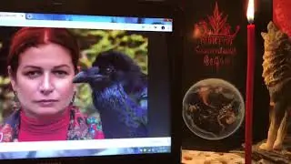 Результаты обучения у Алёны Полынь