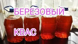 Берёзовый квас/Проверка рецепта/3.04.23г.