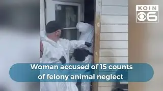 Woman accused of 15 counts of felony animal neglect as dogs and cats are safely sheltered