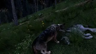 Rose's Backstory | Ep 2 | WolfQuest Anniversary Edition