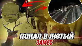 СНЕГ, ЛЮТЫЙ ЗАМЕС, ОЛЕНИ СУЕТУ НАВОДЯТ