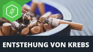 Krebs - Entstehung