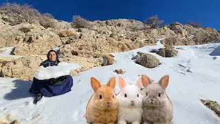 Esmat's Exciting Journey in Search of Food 🌨️🏞️