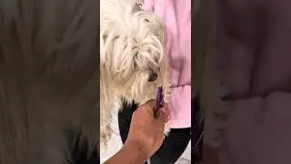 Help me !