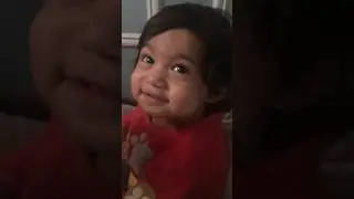 6 Months Baby#telling animals voices #animalvoices#shortsfeed#cutebabysmile#shortsviral2024