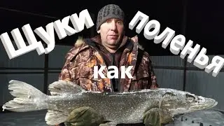 Щуки как поленья. Встречаю Сергея с рыбалки.
