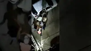 Delhi Street fight Bf vs Gf