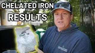 Liquid Iron Application Before and After Overnight Results @iwantfeature6662
