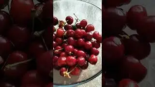 Краснодарский край.15 мая 2024 г