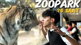 Azərbaycan’ın Ən Böyük Zooparkında Bir Gün / İlkin Feyziyev