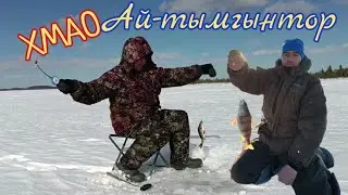 На рыбалку в ХМАО. озеро Ай-Тымгынтор. Озеро в болоте.