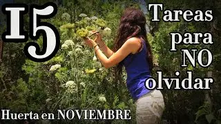 🌱15 TAREAS para NO olvidar de la HUERTA en NOVIEMBRE🌱💖