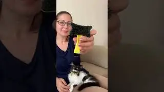 Tüyleri Toplayalım Tarayalım | Kedi Bakımı