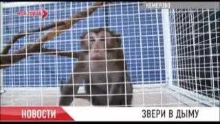 Пожар в ТРК «Лапландия»