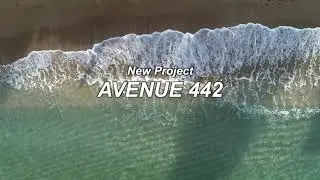 AVENUE 442
