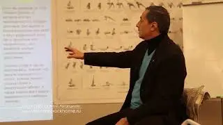 вайрагья разум благость