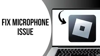 How to Fix Microphone Not Working issue in Roblox ?