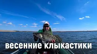 Такой клев только весной! Жор судака перед нерестом. Рыбалка с лодки до запрета