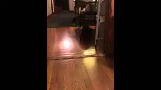 Daniel can't Get up and falls part two