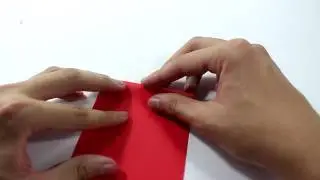 Origami for kids : Pleat Fold