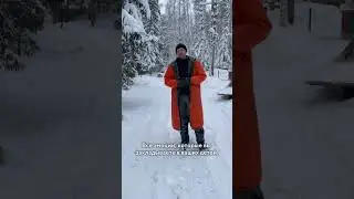 Внимание мамам с маленькими детьми! #санктпетербург #белыйветер #правила #дети #хаски #собаки #олени