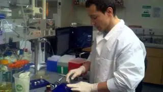 cloning cycle   melting gel fragments for dna purification