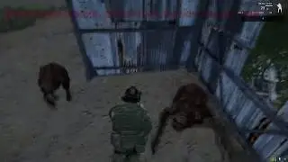Fatum Stalker. Flesh beta 0.9. Расчет поиска пути, логика возвышенностей, поведение в зданиях