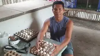 fertile nga ba ang  ating itlog