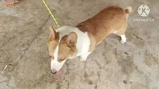 TRAINING DAY